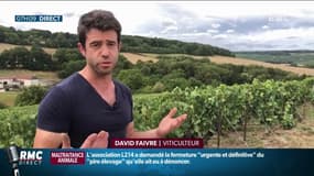 "Un crève-coeur": des vendanges frustrantes débutent en Champagne
