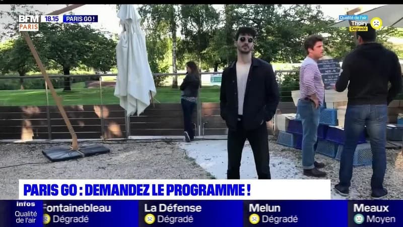Paris Go : Hemmen, le guitariste des BB Brunes en solo - 03/07