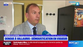 Vallauris: la municipalité met l'accent sur la démoustication après la découverte de cas de dengue