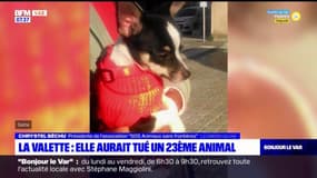 La Valette-du-Var: plainte contre une habitante après la mort de son 23e animal de compagnie