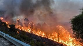 Un incendie en Algérie, le 24 juillet 2023 