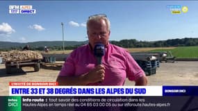 "C'est très préoccupant": le président de la chambre d'agriculture des Alpes-de-Haute-Provence, évoque la vague de chaleur qui va toucher les Alpes du Sud cette semaine