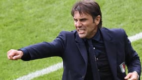 Conte