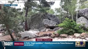 "Ils sont en recherche de nature, de verdure et d’évasion": pour le premier week-end de déconfinement, les Parisiens optent pour la forêt de Fontainebleau