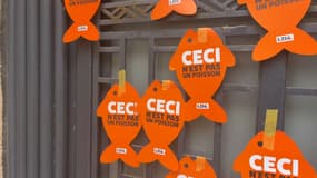 L'association L214 accroche des poissons d'avril sur le façade de la mairie de Nice le 29 mars 2025 pour interpeller la municipalité sur la composition des menus des cantines scolaires. 