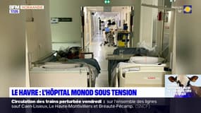 Le Havre: des lits installés dans les couloirs de l'hôpital, les syndicats alertent sur la prise en charge des patients
