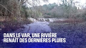 Var: les images étonnantes d'une rivière qui renaît grâce aux dernières pluies