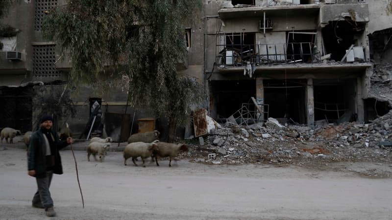 Daesh ne participe pas à ce cessez-le-feu.