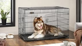 Cette cage XXXL pliable et transportable en réduction est parfaite pour accueillir un grand chien