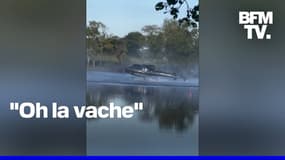 Finistère: les images impressionnantes du crash d'un hélicoptère dans l'eau 