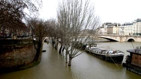 10 février 2013: la Seine en crue à Paris, à la hauteur du pont de la Tournelle