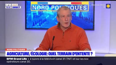 Sans transition en streaming direct et replay sur CANAL+