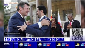 Nice: EELV tacle la présence du Qatar pour les 1 an de l'entrée à l'Unesco