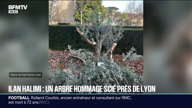 Un arbre en hommage à Ilan Halimi a été scié près de Lyon, une enquête a été ouverte 