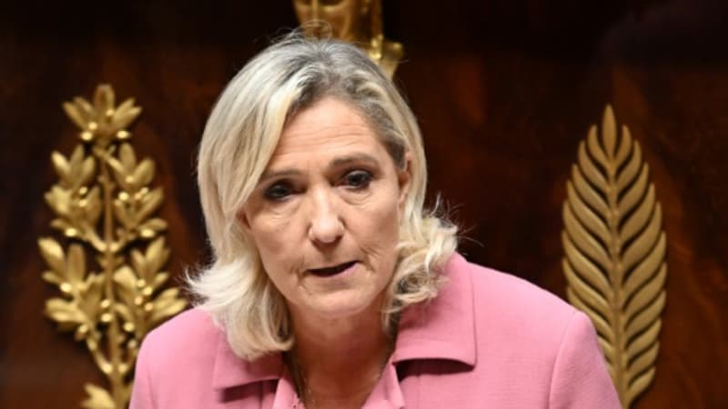 Affaire des assistants parlementaires FN: Marine Le Pen renvoyée en correctionnelle
