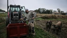 Jérôme Caze, agriculteur de 37 ans, exploite une ferme maraîchère, un élevage de poulets et de porcs, à Meilhan-sur-Garonne, dans le Lot-et-Garonne, le 3 octobre 2024.