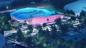 Le centre aquatique olympique