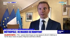 Métropole de Lyon: 45 maires se rebiffent