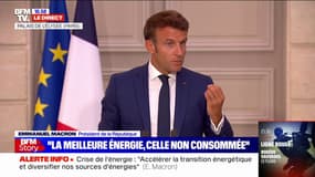 Emmanuel Macron: "L'Allemagne a besoin de notre gaz et nous, nous avons besoin de l'électricité produite dans le reste de l'Europe"