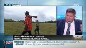 #chasse : "Il faut se battreàa quatre pattes au couteau pour tuer un sanglier ?"