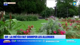 Île-de-France: la météo fait grimper les allergies 