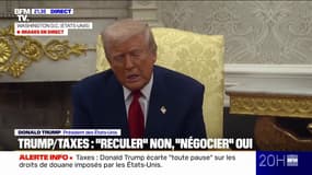 Donald Trump: "Tous ces pays européens ont profité de nous sur le plan économique et militaire"