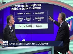 BFM Stratégie (Cours n°79): l'arbitrage entre le cash et la croissance - 11/01