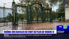 Tempête Ciaran: des rafales de vent jusqu'à 106 km/h dans le Rhône