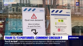 Marseille: les lignes T2 et T3 toujours perturbées, comment continuer à circuler? 