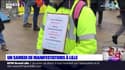 Assurance chômage, soutien à la Palestine, Tropicalia: un samedi de manifestations à Lille