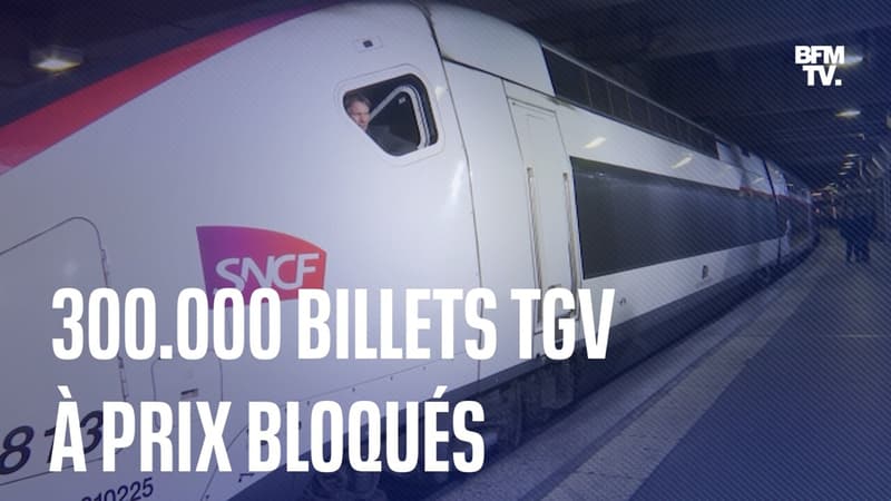 SNCF: 300.000 billets TGV à 29, 39 ou 49 euros pour le mois d'août