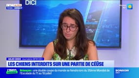 Hautes-Alpes: les chiens interdits sur une partie de la montagne de Céüse jusqu'au 30 septembre