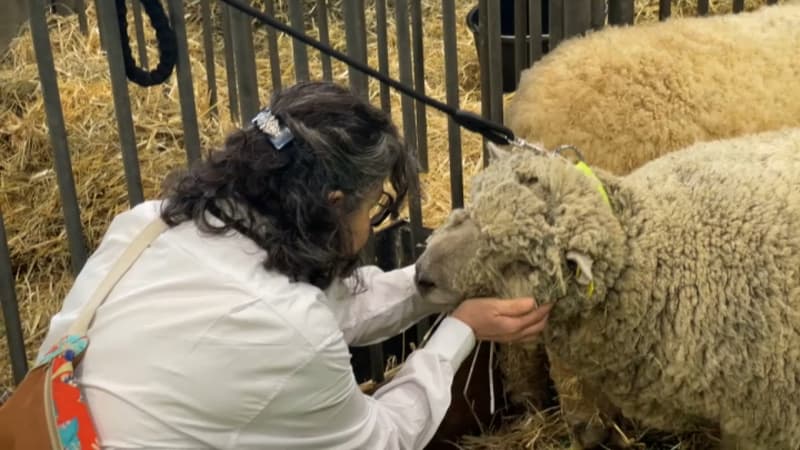 "J'angoisse de manquer des moments avec mon fils": comment renforcer la place des femmes dans l'agriculture?