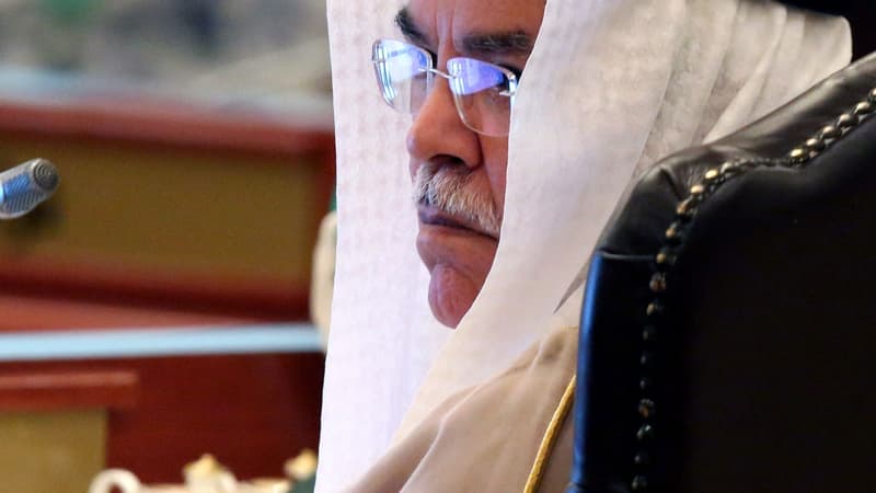 Ali Al-Naimi, Ministre du Pétrole d'Arabie Saoudite, estime qu'un effort coordonné des pays OPEP et non-OPEP est nécessaire, si l'on souhaite stabiliser les cours.