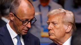 Le chancelier allemand Friedrich Merz s'entretient avec le président américain Donald Trump avant le début de la réunion plénière du Conseil de l'Atlantique Nord, lors du sommet de l'OTAN à La Haye, aux Pays-Bas, le 25 juin 2025 (photo d'illustration).