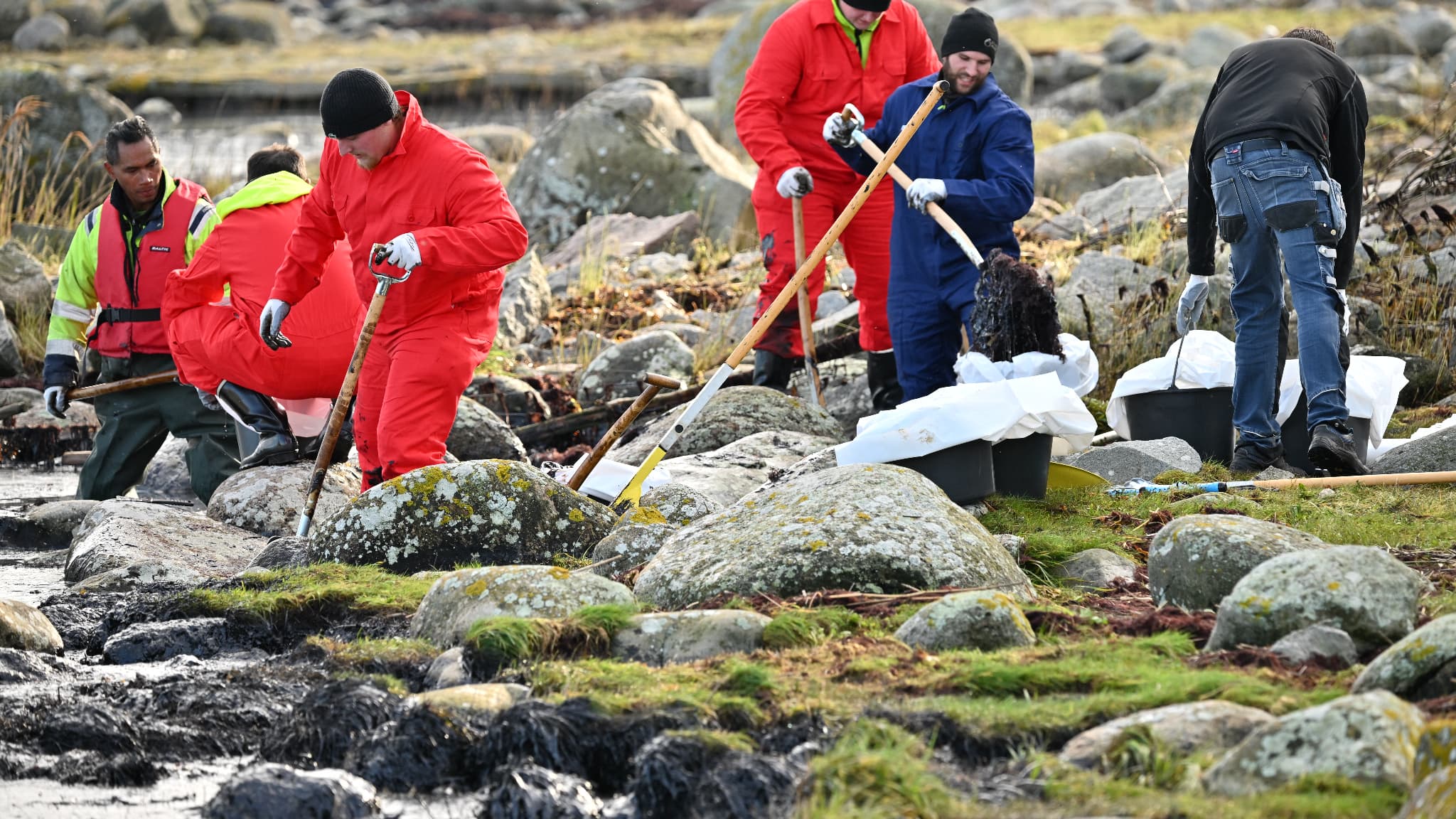 Des personnes nettoient le pétrole dans la réserve naturelle de Spraglehall à Krokas près de Horvik, en Suède, alors que les travaux de dégagement du ferry Marco Polo échoué et les opérations de nettoyage après la marée noire se poursuivent le 23 octobre 2023. Les garde-côtes suédois ont déclaré le 23 octobre 2023 qu'ils travaillaient au nettoyage d'une importante marée noire en mer Baltique après l'échouage d'un ferry transportant des passagers au cours du week-end. Des personnes nettoient le pétrole dans la réserve naturelle de Spraglehall à Krokas près de Horvik, en Suède, alors que les travaux de dégagement du ferry Marco Polo échoué et les opérations de nettoyage après la marée noire se poursuivent le 23 octobre 2023. Les garde-côtes suédois ont déclaré le 23 octobre 2023 qu'ils travaillaient au nettoyage d'une importante marée noire en mer Baltique après l'échouage d'un ferry transportant des passagers au cours du week-end.