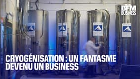  Cryogénisation : un fantasme devenu un business 