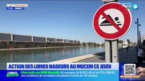 Marseille: des nages découvertes dans la rade 