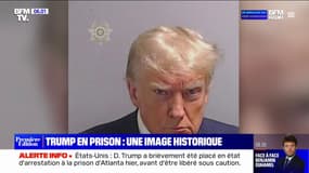 "Mugshot": une photo judiciaire historique de Donald Trump après un bref passage en prison