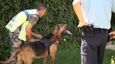 Un chien de Saint-Hubert et son maître - Image d’illustration