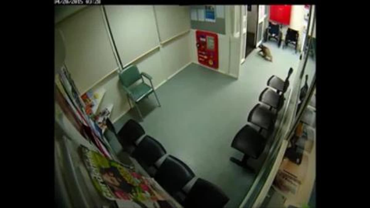 placeholder video