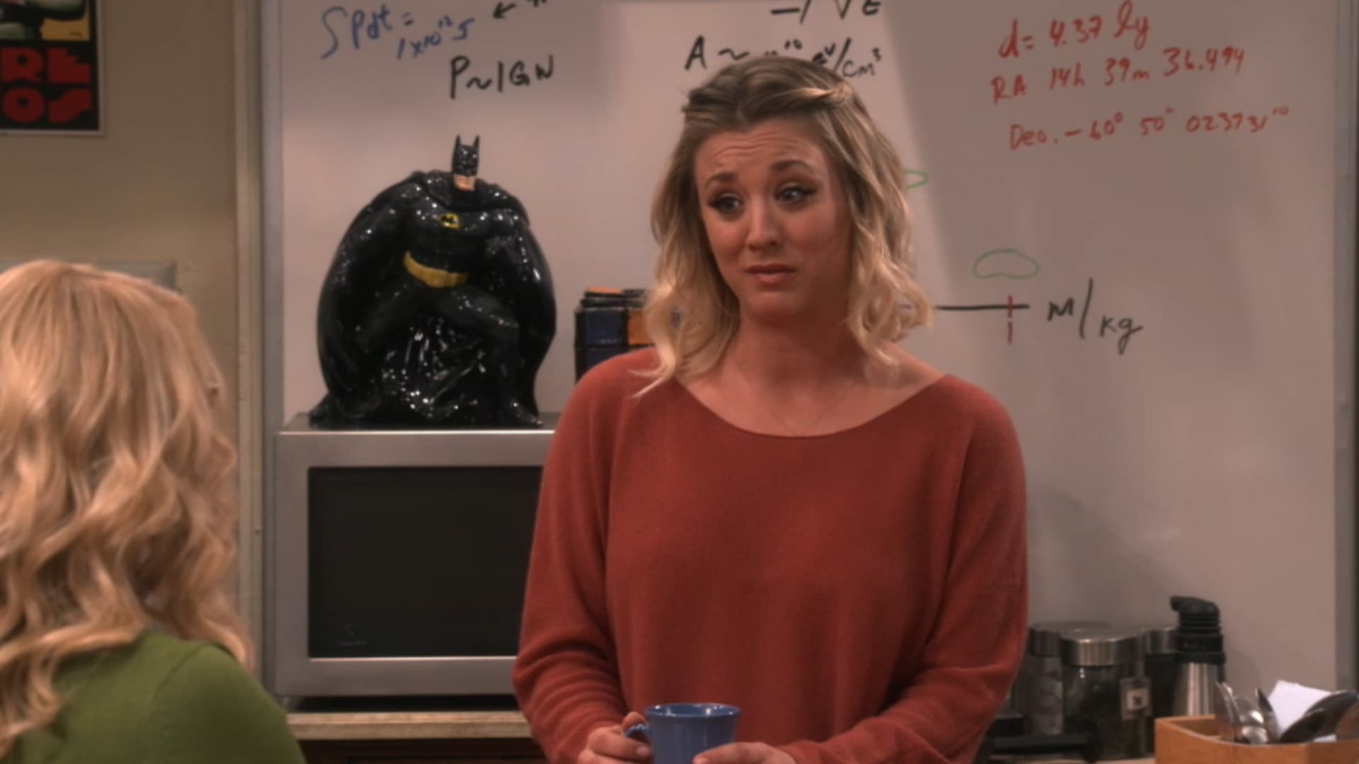 THE BIG BANG THEORY