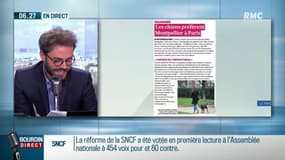 Et la ville préférée des chiens est.... 