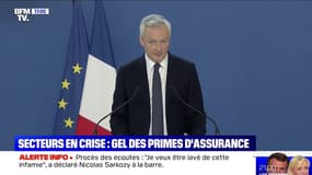 Covid-19: les assurances acceptent le gel des primes "pour toute l'année 2021" dans plusieurs secteurs en crise