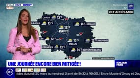 Météo Paris-Ile de France du 12 mars: Une journée encore bien mitigée !