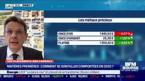 François Monier (Investir) : Comment les matières premières se sont-elles comportées en 2020 ? - 12/01