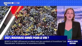 La mauvaise météo de 2021 aura-t-elle un impact sur les productions de vin français? BFMTV répond à vos questions