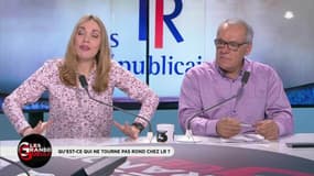 "Si on exclut les constructifs, il faut aussi exclure Sens Commun qui est allié au FN !"