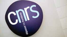 Un directeur de recherche du CNRS de Strasbourg exclu pour un an pour "harcèlement sexuel" de deux doctorantes et une stagiaire