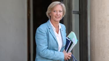 Sophie Cluzel, secrétaire d'État chargée des Personnes handicapées sur le perron de l'Élysée en juillet